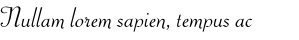 Nullam lorem sapien, tempus ac